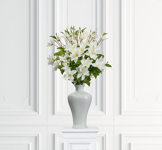 Vit - Klematis snittblomma vit