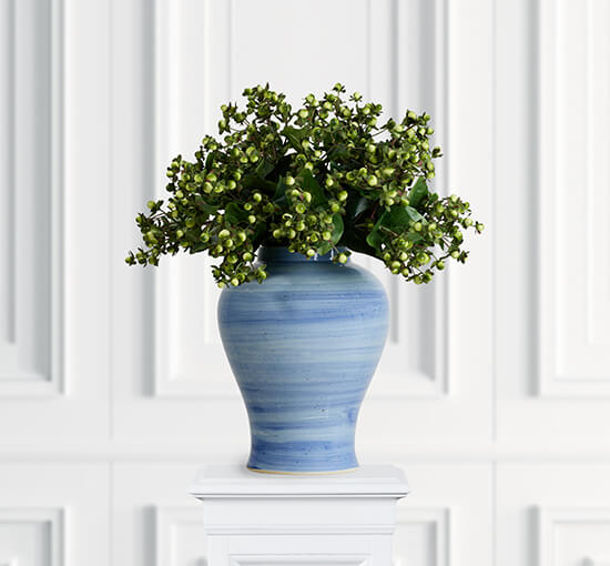 Vit - Hypericum snittblomma creme