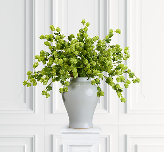 Humle snittblomma grön