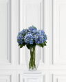 Hortensia snittblomma blå/grön